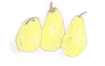 pears 1