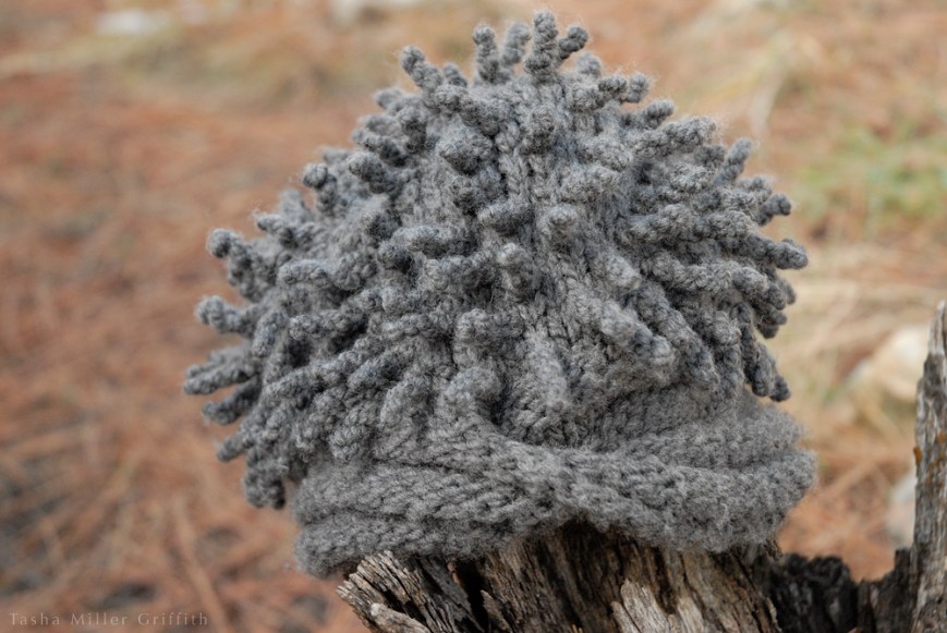 hedgehog hat outside 2