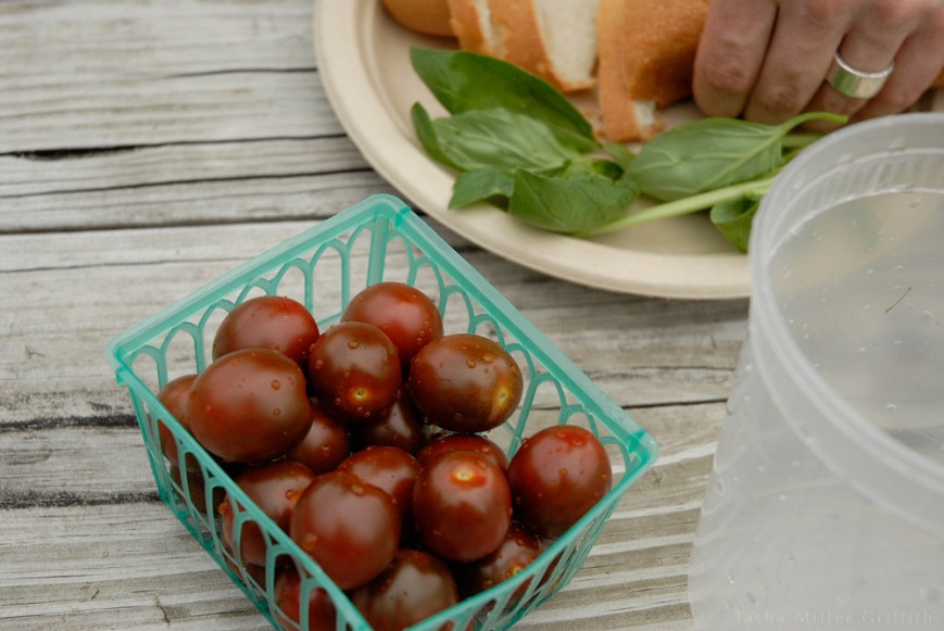 tomatoes in green basket 2
