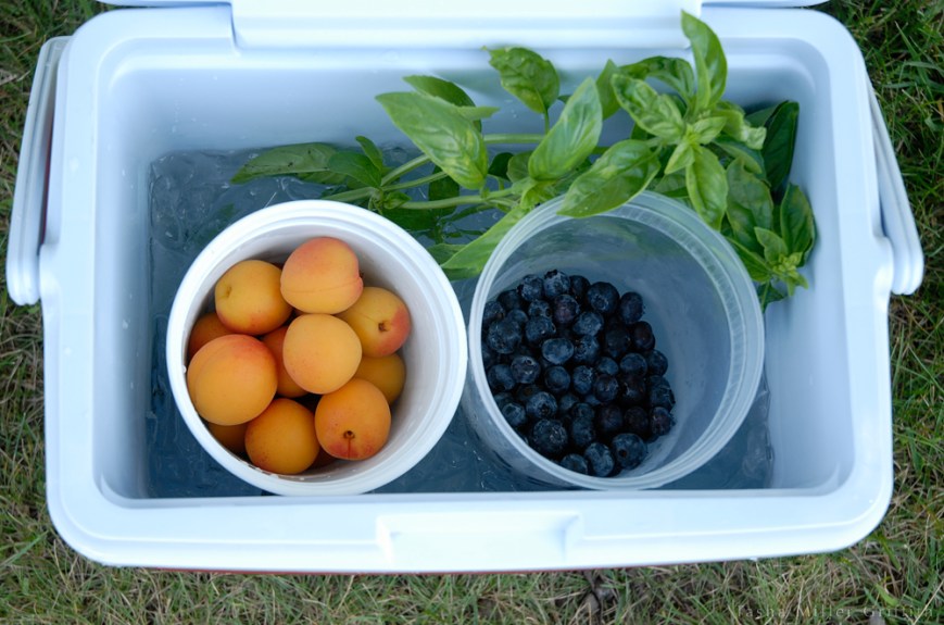washed fruit in cooler