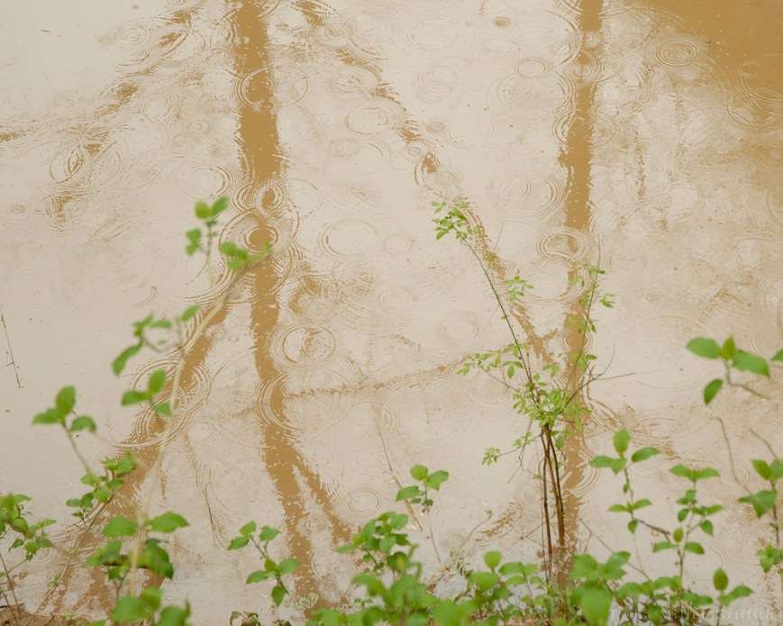 spring mammoth ripples