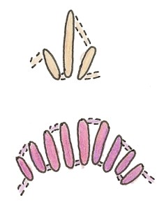 embroidered-hat-drawing-2