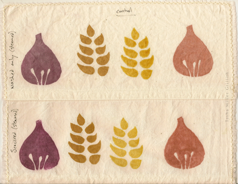 Natural dye printing tests, four different colors in shapes of a fig and a sprig of leaves.